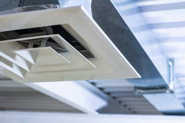 Best Home Air Vent Cleaning  in Loma Linda, CA