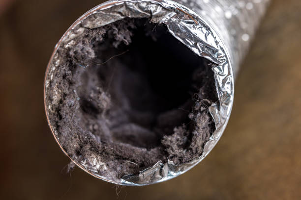 Best Air Duct Cleaning Near Me in Loma Linda, CA